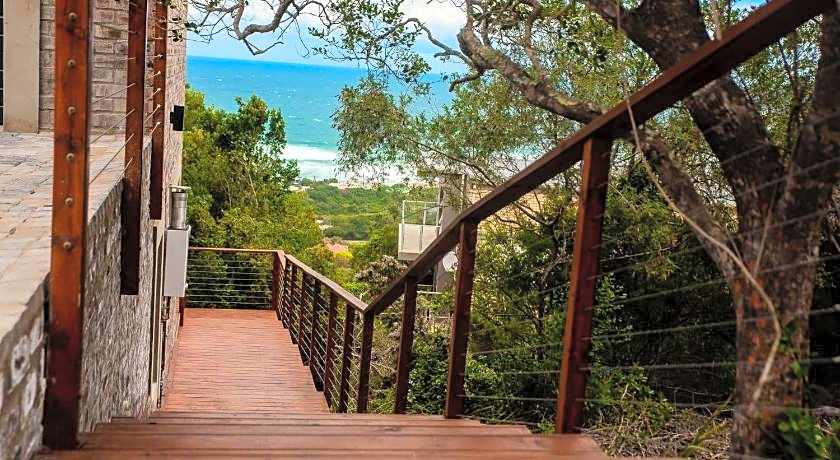 Forest Hill Wilderness