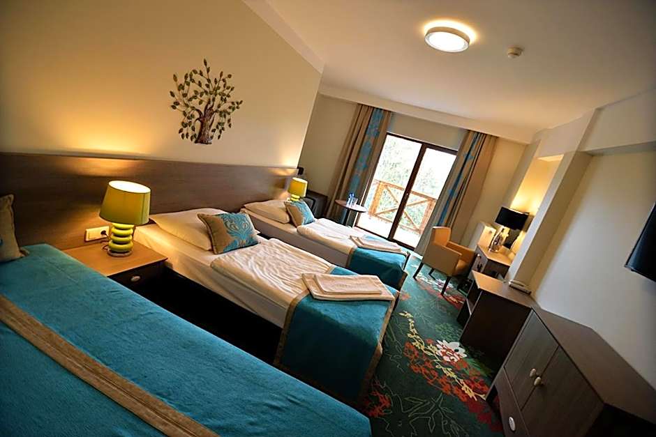 Hotel EUROPA - Górnicza Strzecha