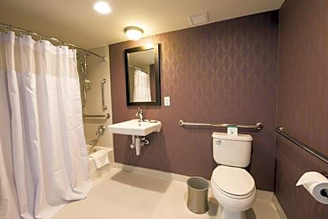 1 King Bed Standard Mobil Access Tub