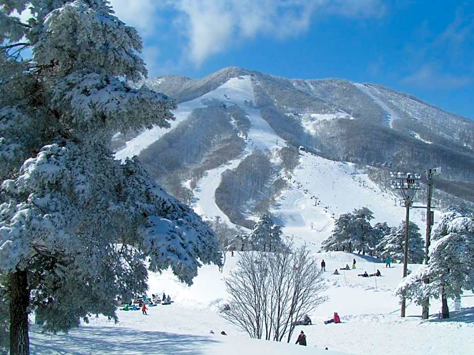 Madarao Elm Pension