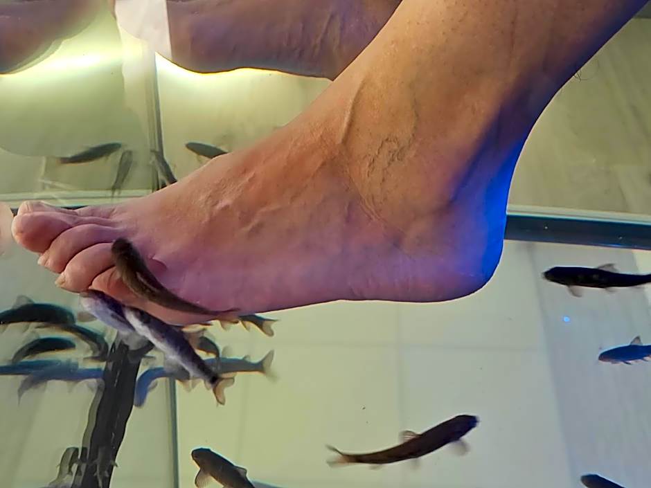 Atao Residence- Rennes Sud