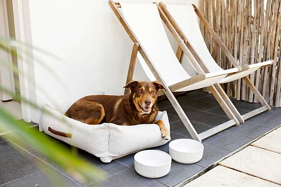 The Brunswick, Brunswick Heads