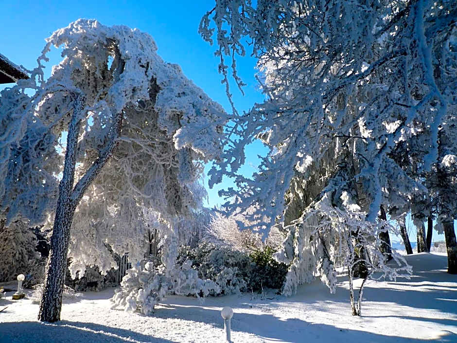 The Originals City, Hôtel Rey du Mont Sion, Saint-Julien-en-Genevois Sud