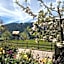 Hotel Alpenland