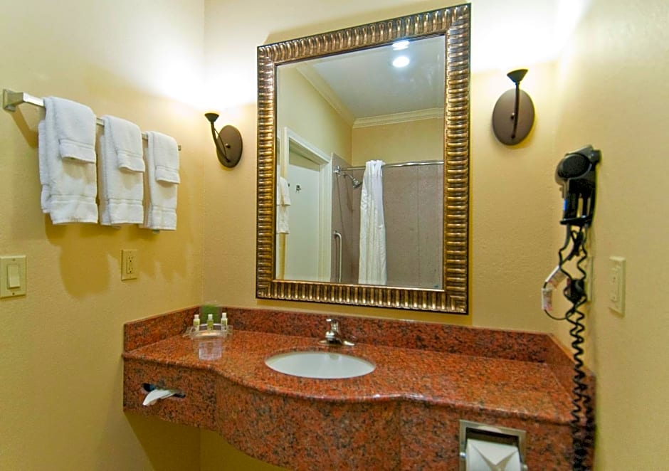 Holiday Inn Hotel & Suites Lake Charles South, an IHG Hotel