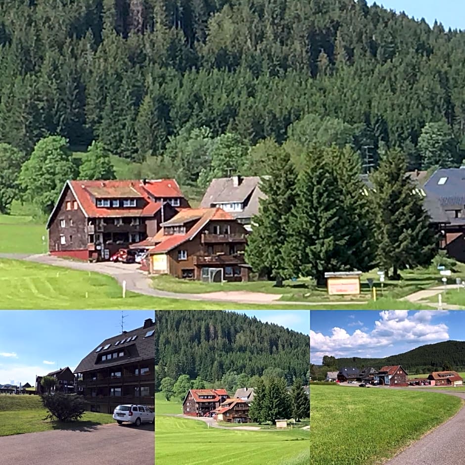 Sonnenmatte Titisee Hotel B und B