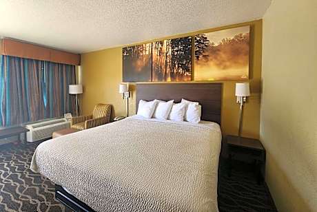 1 King Bed Studio Suite Non-Smoking