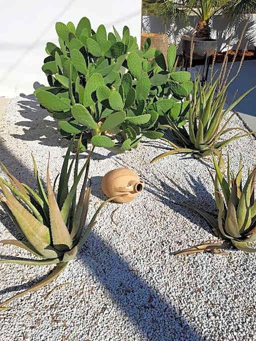 Mira Living Concept Suites Adults Only