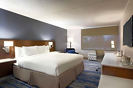 Guest room, 1 King