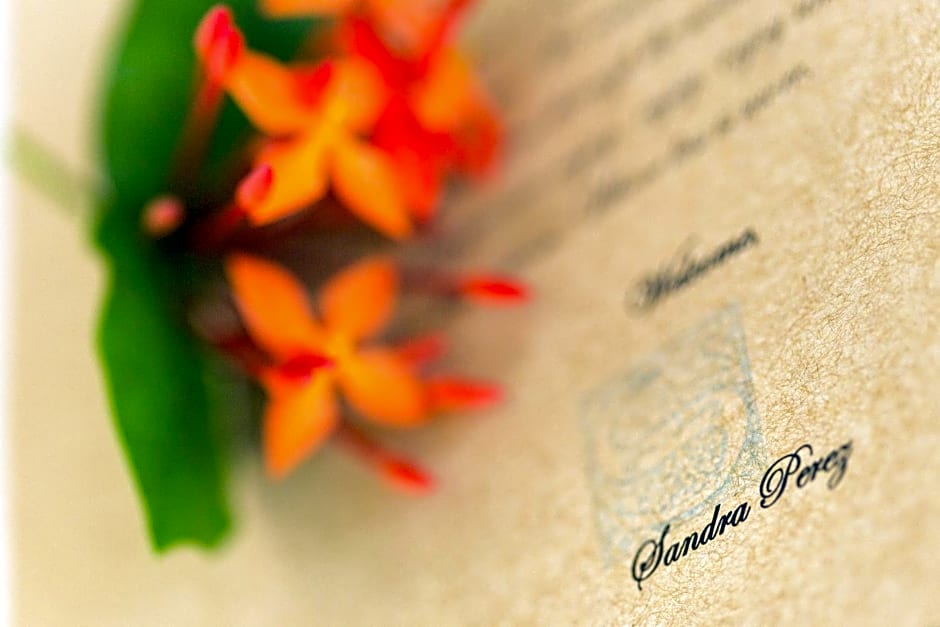 Ser Casasandra Boutique Hotel                                                                    