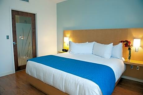 One-Bedroom King Suite with Sofa Bed