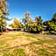 Alpine Adventure Holiday Park