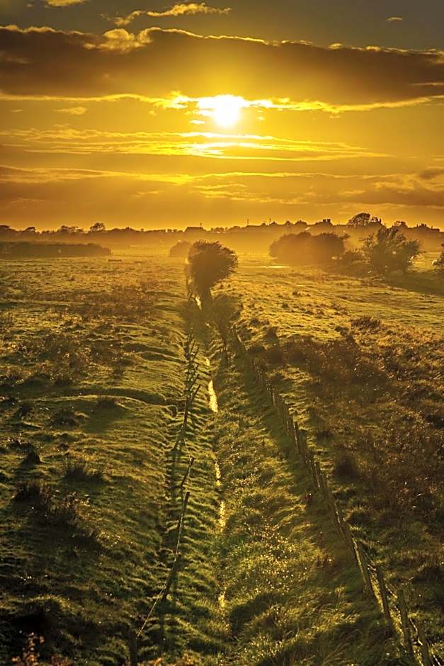 Midtown Farm Bed & Breakfast