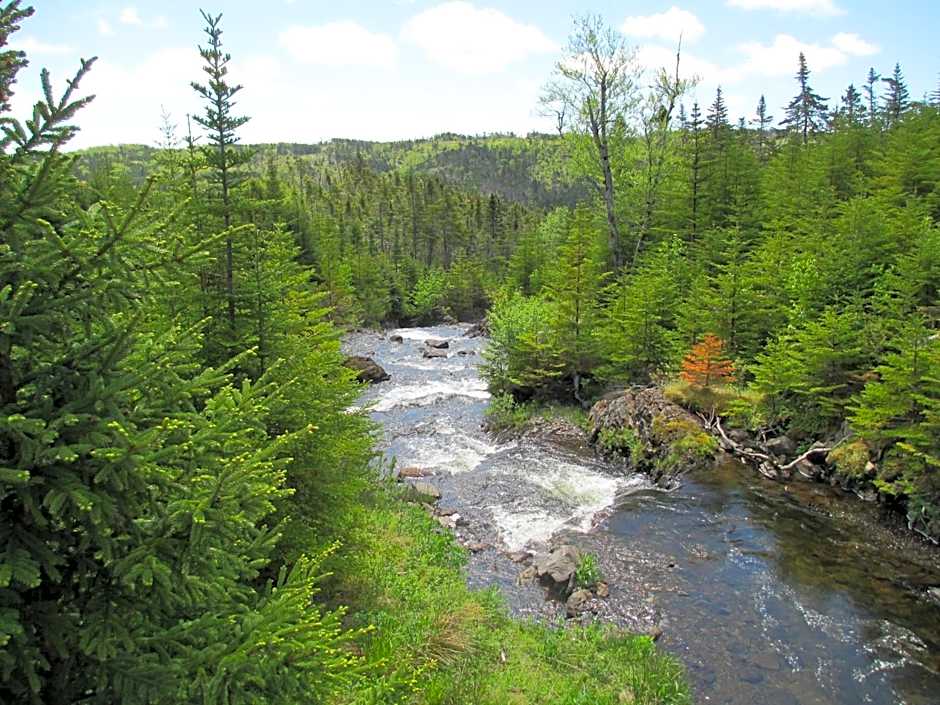 The Wilds at Salmonier River