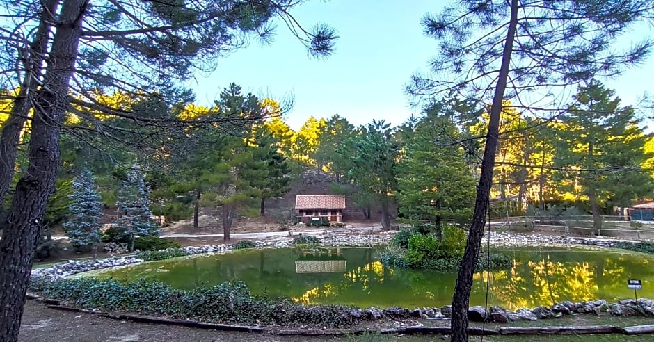 La cabaña del lago en ZAFIRO LAGUNAZO Parque Natural del Río Mundo