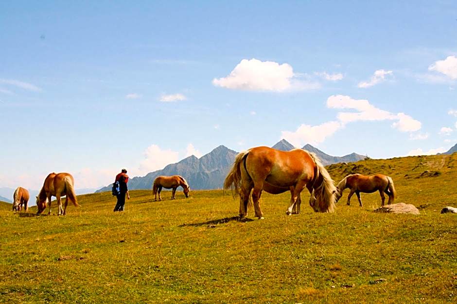 Hotel Lärchenhof Natur
