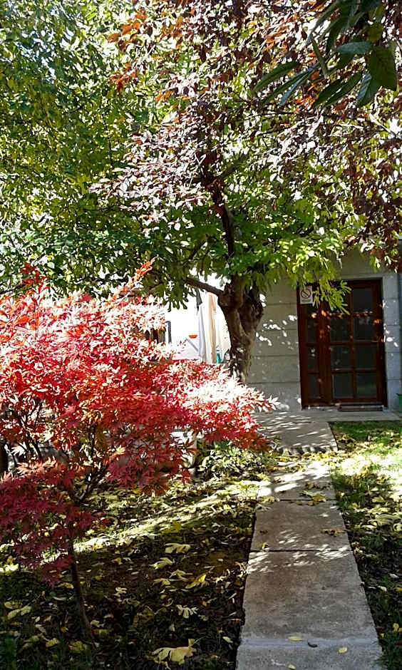 Hostel Oasis