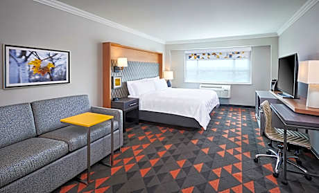 1 King Standard Sofa Bed