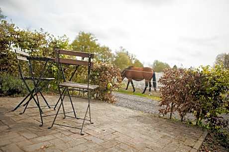 Deluxe Double or Twin Room with Garden View