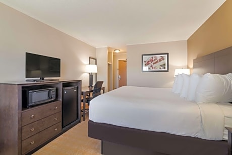 1 King Bed Non-Smoking Balcony Microwave And Refrigerator Wi-Fi