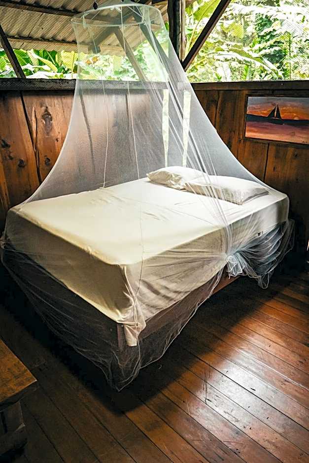 Flutterby House Hostel