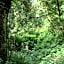 Magoebaskloof Getaway