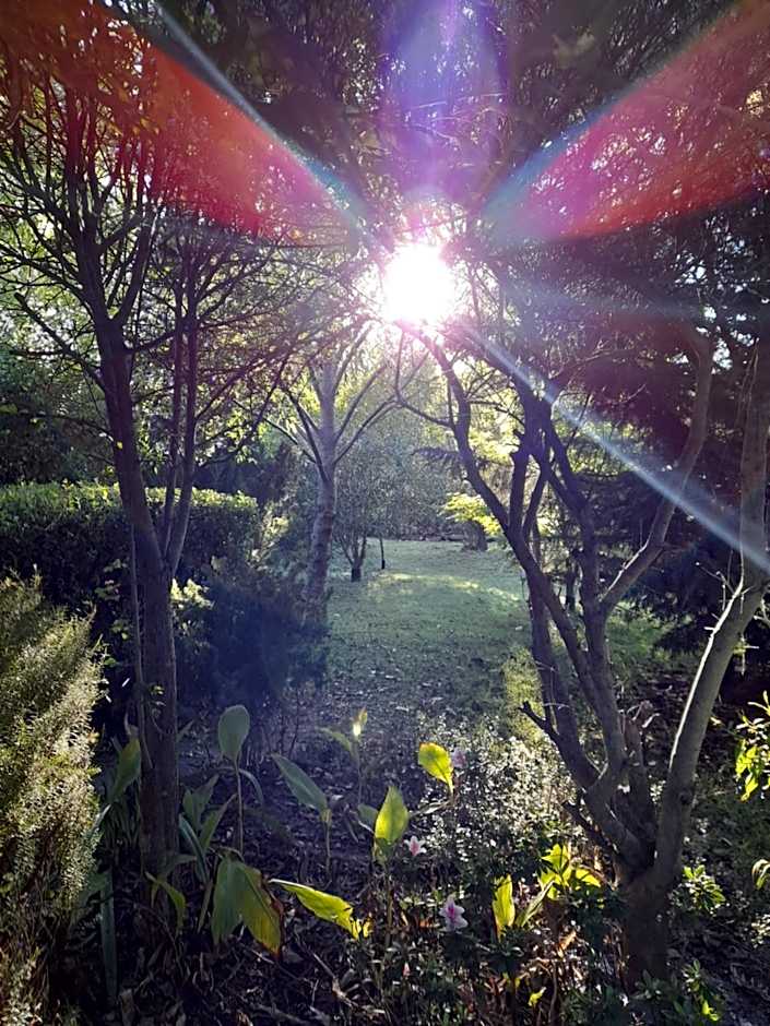 Hillside Bed and Breakfast