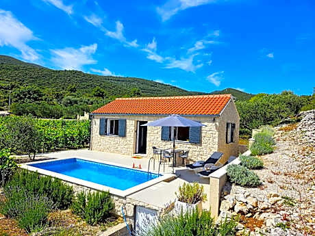 Stone house in vineyard