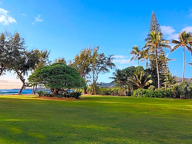 Kauai Shores Hotel