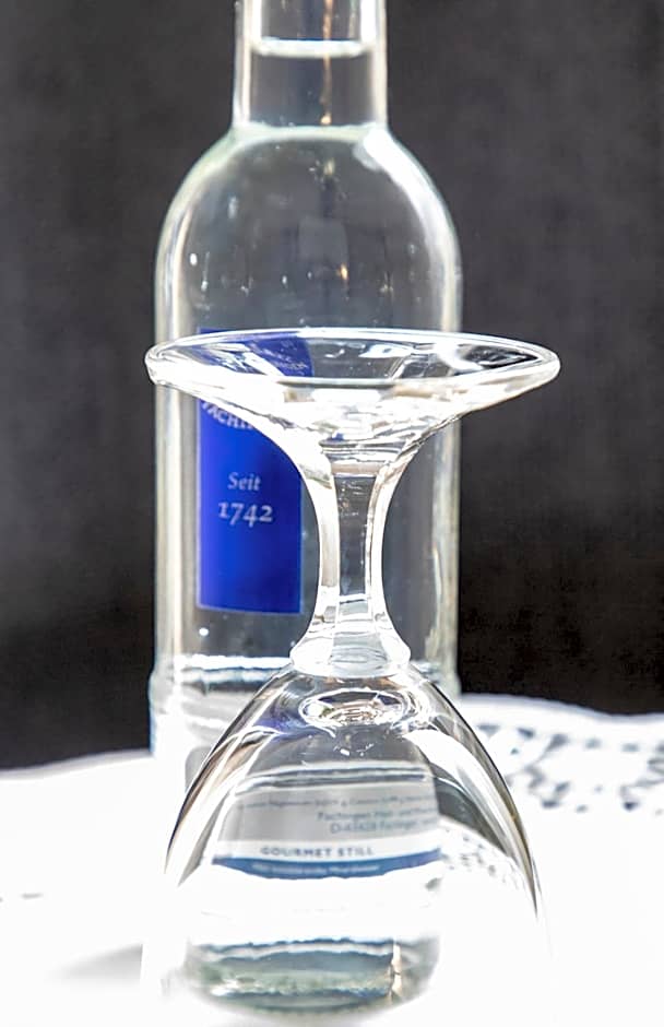 Hotel JÄGERHAUS in Singen am Hohentwiel