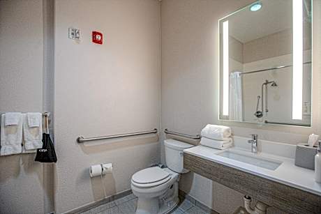 1 King Bed Standard Sofa Bed