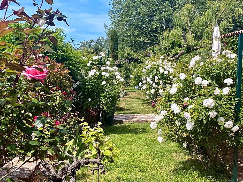 Villa des Roses