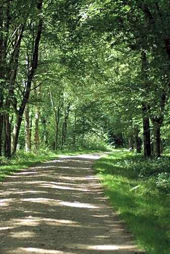 ibis Styles Saint Brieuc Gare Centre