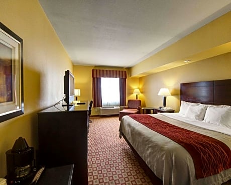 1 King Bed, Suite, Nonsmoking, Accessible