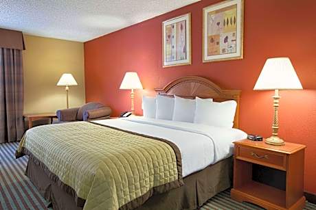 1 King Bed, Mobility Accessible Room, Non-Smoking