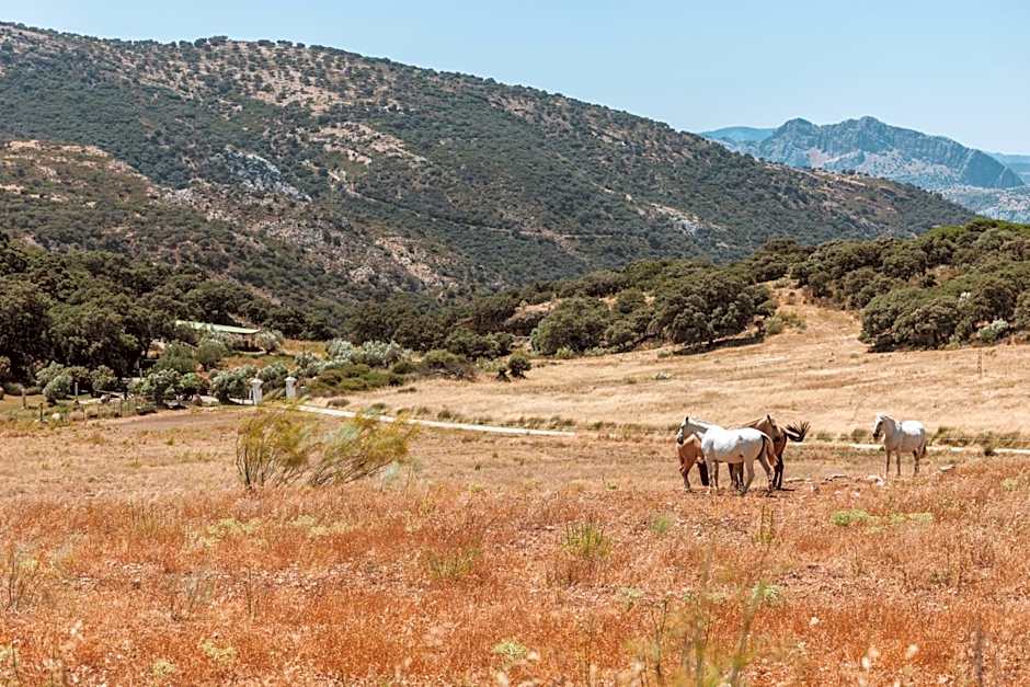 Los Pilares de Ronda Boutique & Hotel