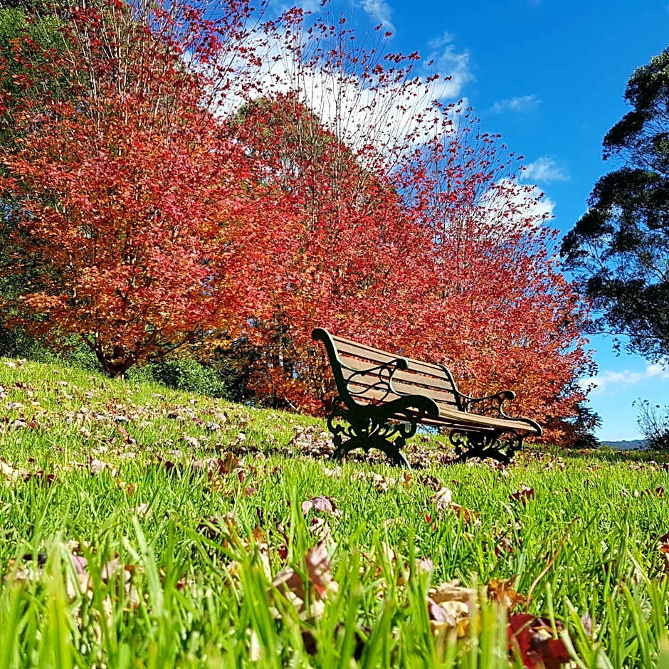 The Drawing Rooms of Berry