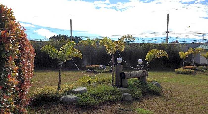 Hollywood Drive-In Hotel
