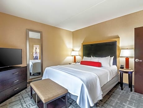 One-Bedroom King Suite - Non-Smoking
