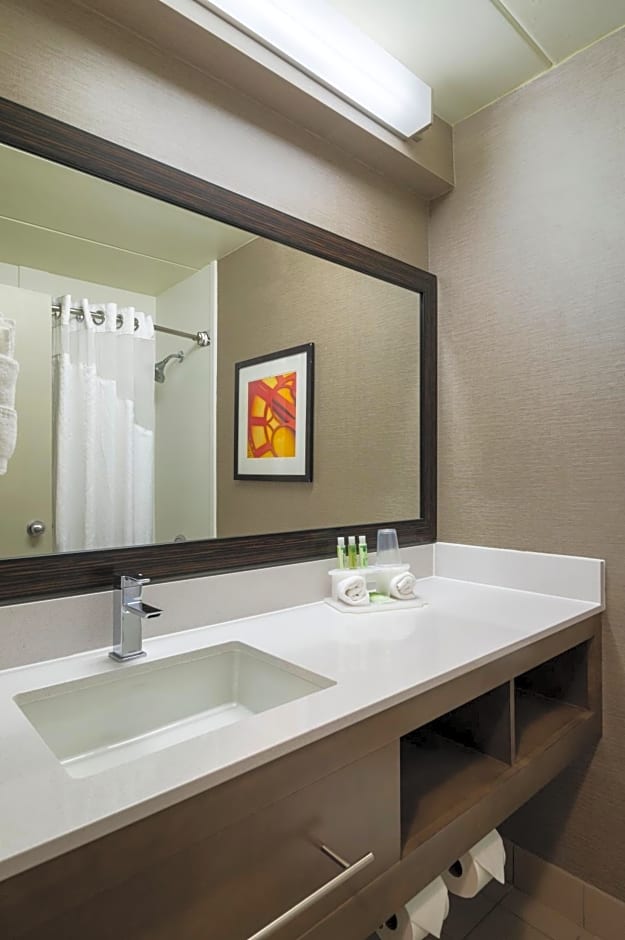 Holiday Inn Express Hotel & Suites King Of Prussia