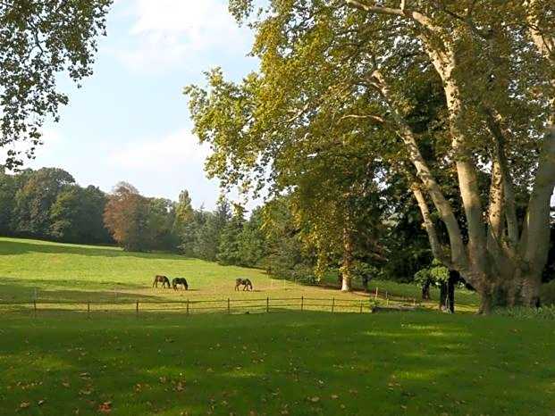 Domaine La Bonne Etoile