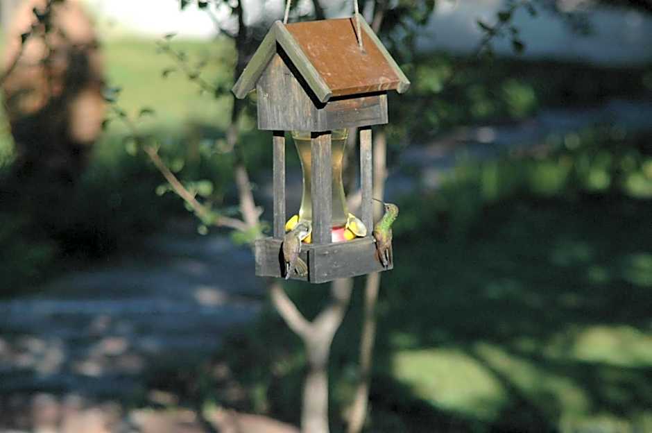 Hotel Paraiso del Oso