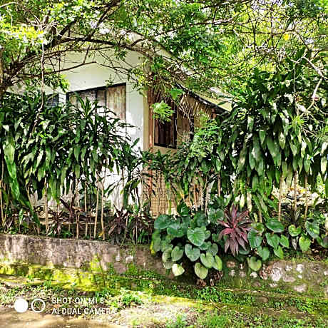 Deluxe King Studio