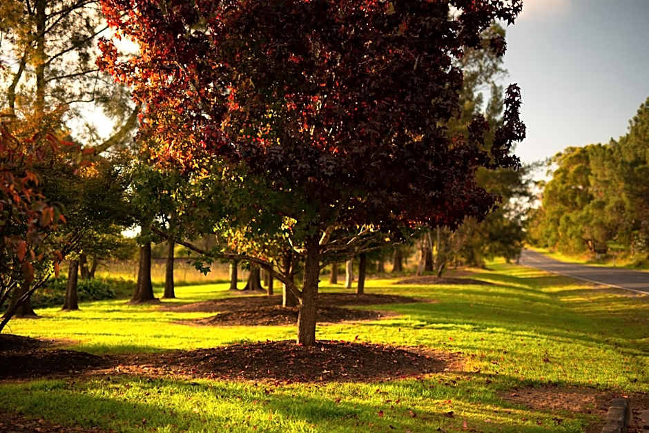 Bundanoon Country Inn Motel