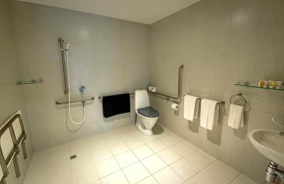 Pelicans Albany Middleton Beach