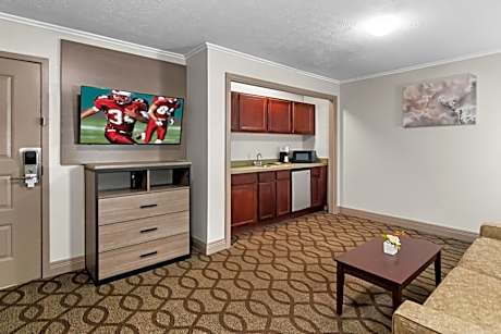 Suite King Room Non-Smoking