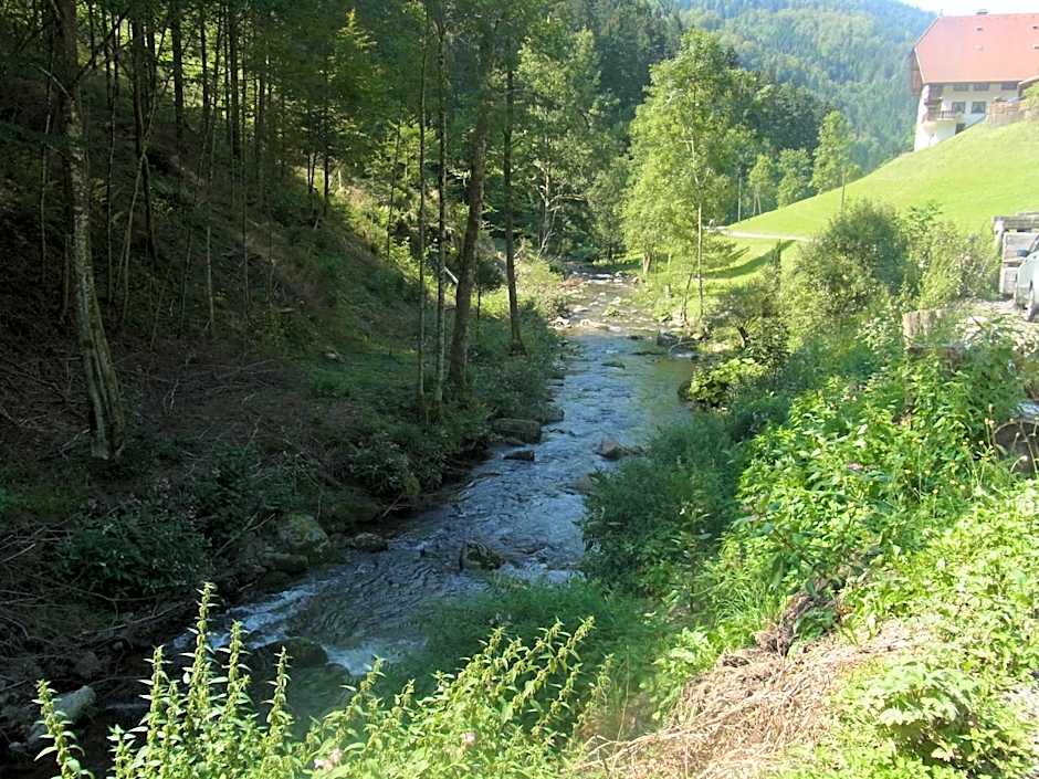 ZUR TRAUBE Schwarzwaldhotel & Restaurant am Titisee