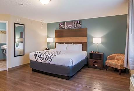 King Suite - Accessible/Non Smoking