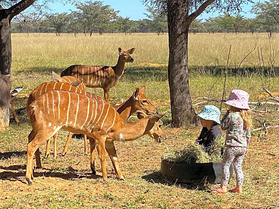 Kigeni Safari Lodge & Spa