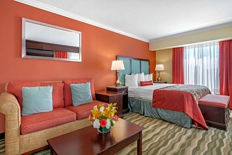 1 King Bed Accessible